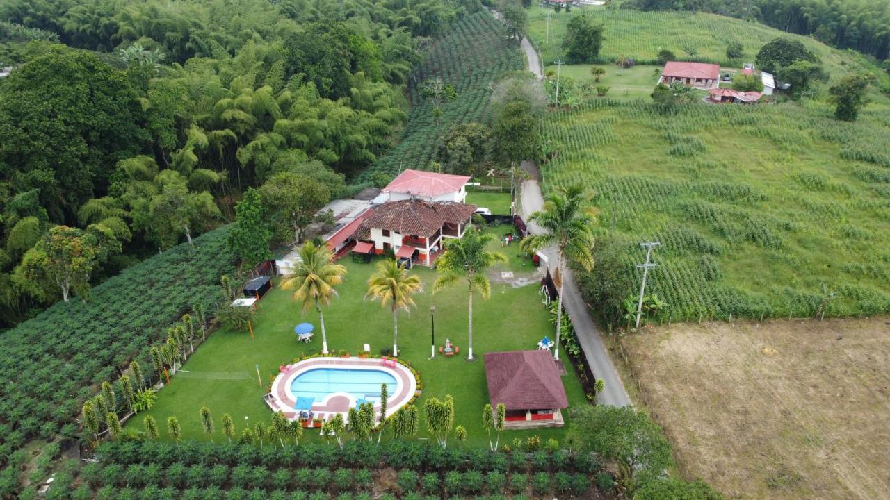 Hotel Cocos Montenegro