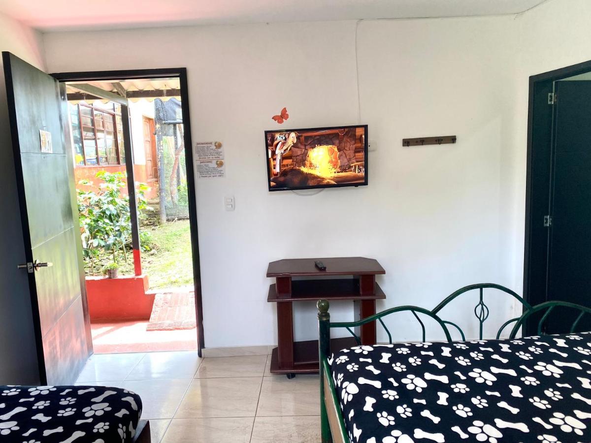 Cocos 5*