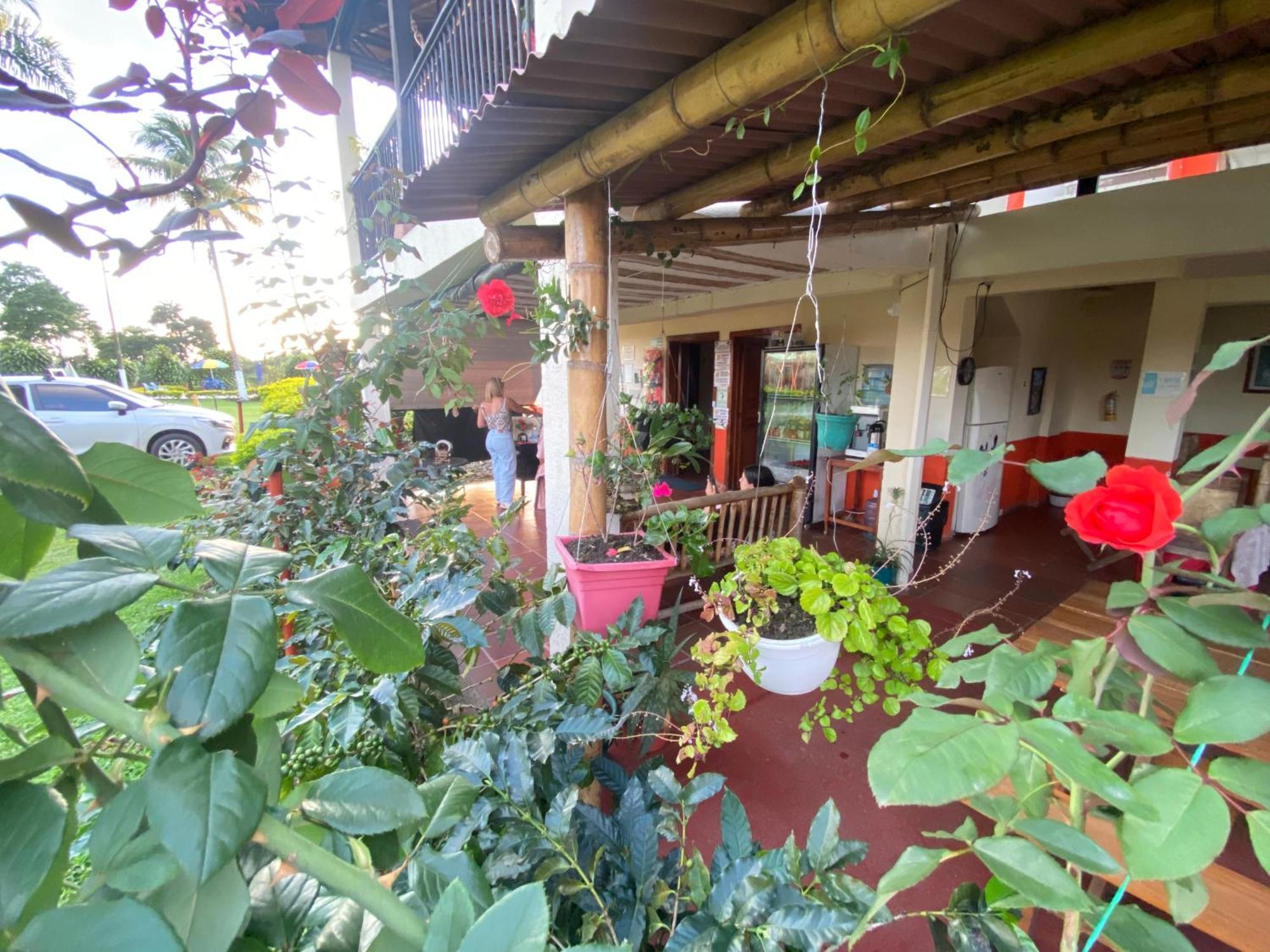 Cocos Hotel