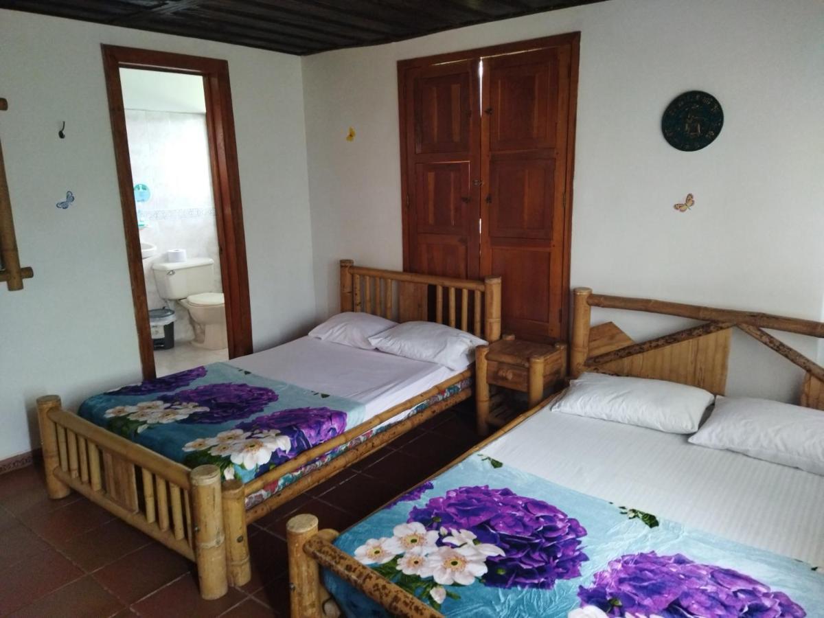 Cocos 5*